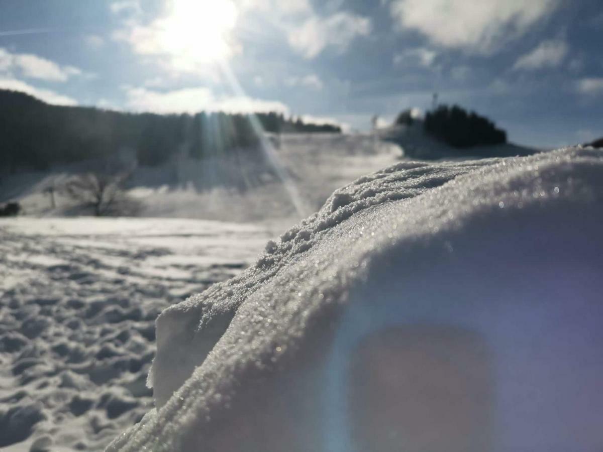 Apartman Plesnivec Donovaly Bagian luar foto